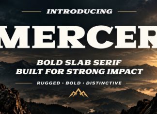 Mercer Rugged Bold Slab Serif Font preview image 1