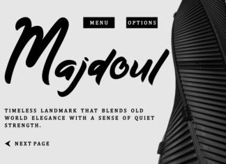 Metrolight Script Display Font preview image 3