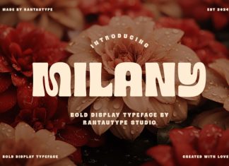 Milany Font preview image 1