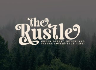 Milky Shake – Retro Serif Font preview image 3