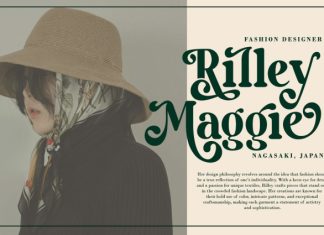 Milky Shake – Retro Serif Font preview image 2