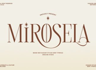Mirosela Serif Font preview image 1