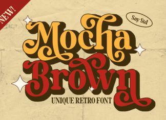 Mocha Brown – Unique Retro Font preview image 1