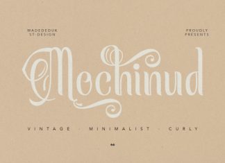 Mochinud Font preview image 1