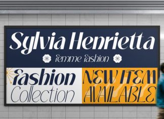 Mochira – Stylish Variable Font preview image 2
