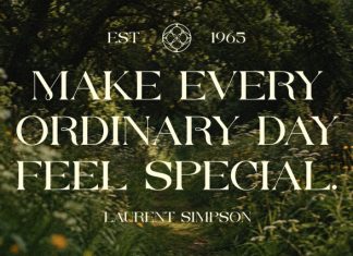 Molky Wolky – An Elegant Serif Display Font preview image 2