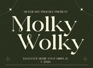 Molky Wolky – An Elegant Serif Display Font preview image 1