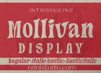 Mollivan – Serif Font preview image 1