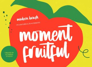 Moment Fruitful – Modern Brush Font preview image 1