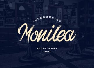 Monilea Brush Handwritten Font preview image 1
