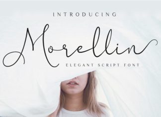 Morellin — Elegant Wedding Script Font preview image 1