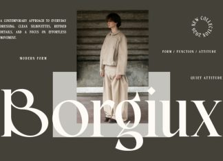 Morige – Elegant Serif Display Font preview image 2