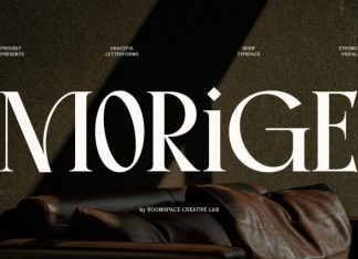 Morige – Elegant Serif Display Font preview image 1