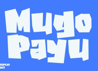 Mugo Payu Font preview image 1