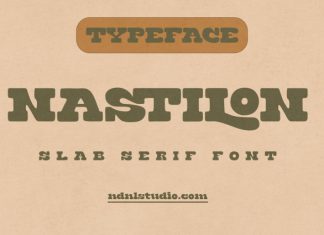 Nastilon – Slab Serif Font preview image 1