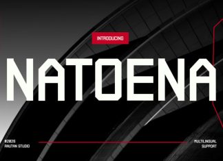 Natoena – Modern Display Font preview image 1