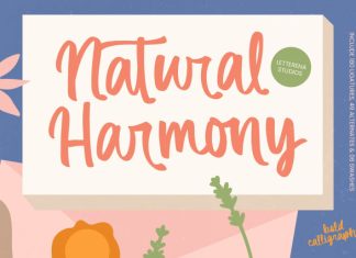 Natural Harmony – Bold Calligraphy Font preview image 1