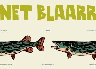 Net Blaarr – Retro Display Typeface Font preview image 1