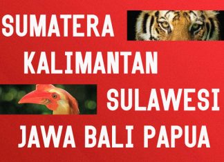 Nextra Font preview image 2