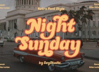 Night Sunday – Serif Font preview image 1