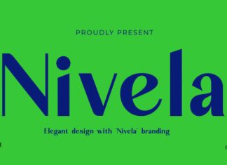 Nivela Font preview image 1