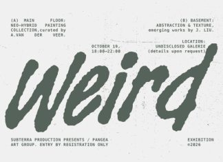 Noishe – Editorial Bold Marker Font preview image 2