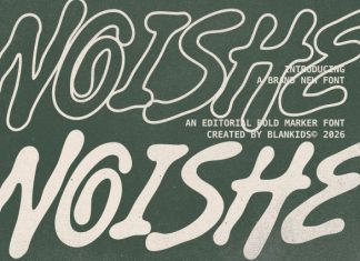 Noishe – Editorial Bold Marker Font preview image 1