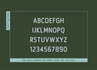 Norsela Font preview image 2