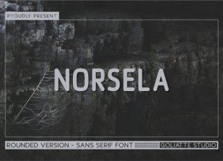 Norsela Font preview image 1