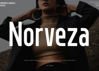 Norveza – Family Condensed Sans Serif Font preview image 3