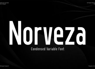 Norveza – Family Condensed Sans Serif Font preview image 1