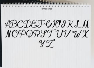 Notebook Abstract Script Font preview image 3