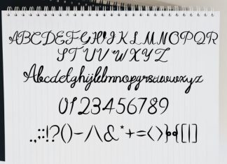 Notebook Abstract Script Font preview image 2