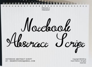 Notebook Abstract Script Font preview image 1