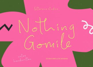 Nothing Gomile – Notes Handwritten Font preview image 1