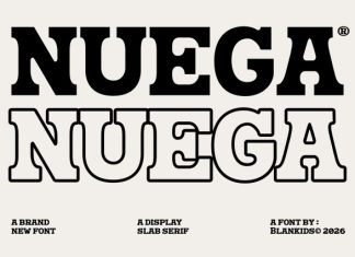 Nuega – Bold Slab Serif Font preview image 1