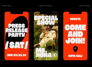 Oresta – Bold Display Font preview image 3