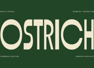 Ostrich Font preview image 1