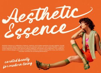 Outdoor Picnic – Bold Brush Font preview image 2