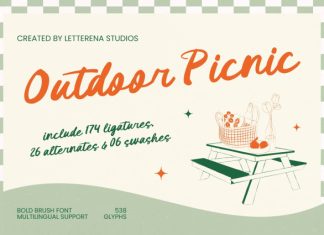 Outdoor Picnic – Bold Brush Font preview image 1