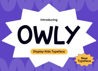 Owly – Playful Kids Display Font preview image 1