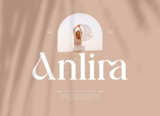 Anlira || Moder Classy Serif Font preview image 1