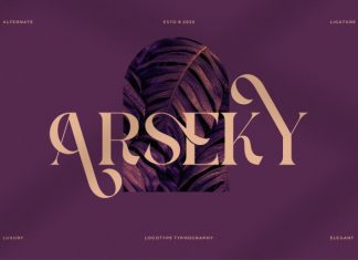 Arseky || Modern Classy Serif Font preview image 1