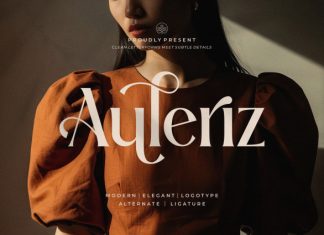 Auleriz || Modern Elegant Serif Font preview image 1