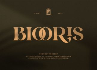 Biooris || Modern Classy Serif Font preview image 1