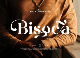 Bisoca || Modern Classy Serif Font preview image 1