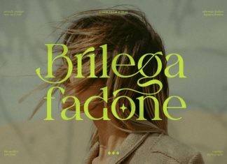 Brilega Fadone || Modern Classy Serif Font preview image 1