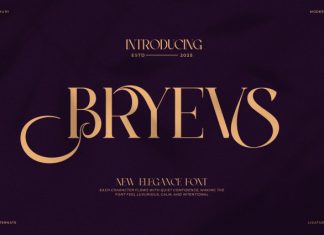 Bryevs || Elegant Classy Serif Font preview image 1