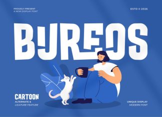 Bureos || Modern Playful Display Font preview image 1