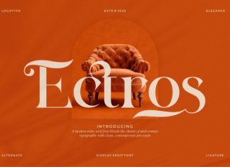 Ectros || Modern Retro Serif Font preview image 1